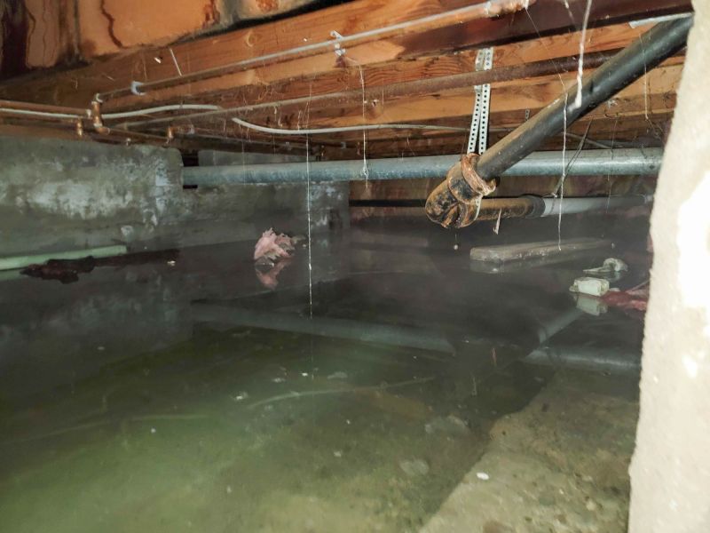 Crawlspace Water Cleanup