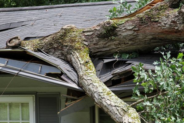 Storm Remediation in Barrington