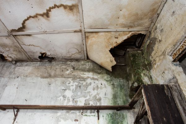 Water Damage Service in Barrington