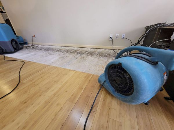 Water Damage Mitigation in Barrington