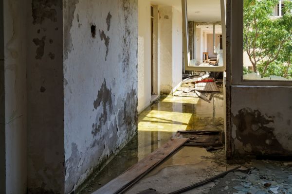 Cost of Water Removal Service in Barrington