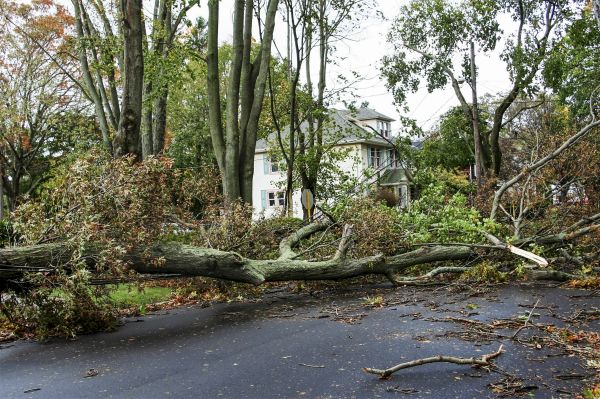 Tornado Damage Repair in Barrington