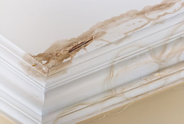 Water Damage Recovery in Barrington